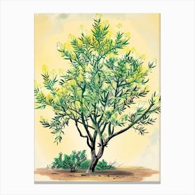 Acacia Tree Storybook Illustration 3 Canvas Print