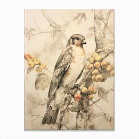 Storybook Animal Watercolour Falcon 1 Canvas Print