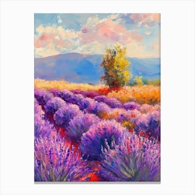 Lavender Field Canvas Print