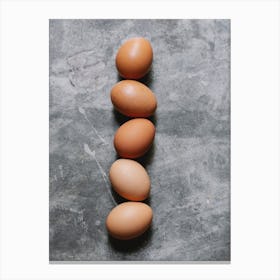 Row Of Brown Eggs Canvas Print