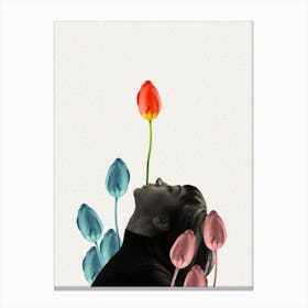 Tulipan Canvas Print