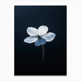 White Flower On Black Background 5 Canvas Print