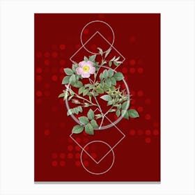 Vintage Malmedy Rose Botanical with Geometric Line Motif and Dot Pattern n.0060 Canvas Print
