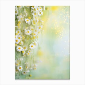 Daisy Background 2 Canvas Print