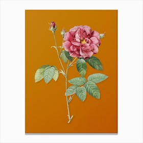 Vintage French Rose Botanical on Sunset Orange n.0798 Canvas Print