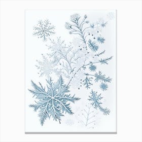 Cold, Snowflakes, Quentin Blake Illustration 1 Canvas Print