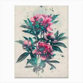 Pink Peonies 2 Canvas Print