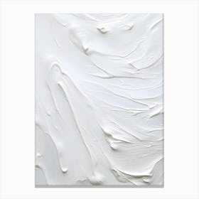 White Paint Texture 1 Canvas Print