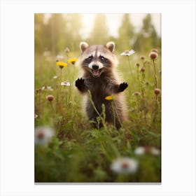 Cute Funny Common Raccoon Running On A Field Wild 3 Canvas Print