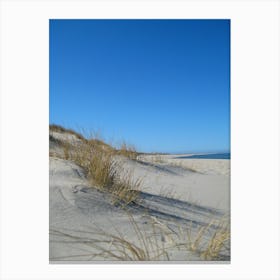 Sand Dunes 4 Canvas Print