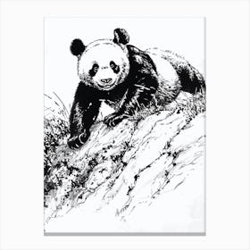 Giant Panda Cub Sliding Down A Hill Ink Illustration 3 Canvas Print
