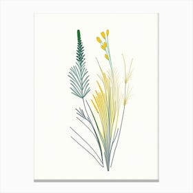 Horsetail Spices And Herbs Minimal Line Drawing 2 Canvas Print