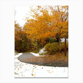 Autumn Turning to Winter Canvas Print