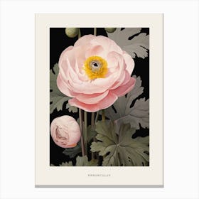 Flower Illustration Ranunculus 3 Poster Canvas Print