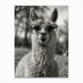 Llama With Glasses 2 Canvas Print