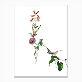 Hummingbirds of Paradise Canvas Print