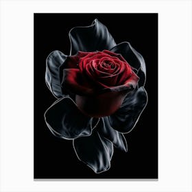 Dark Red Rose Canvas Print