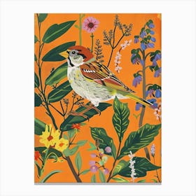 Spring Birds Sparrow 4 Canvas Print