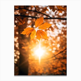 Autumn Leaves In The Sunlight 2 Canvas Print