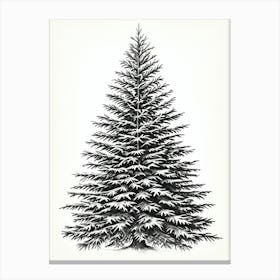 Fir Tree Pencil Sketch Ultra Detailed 10 Canvas Print