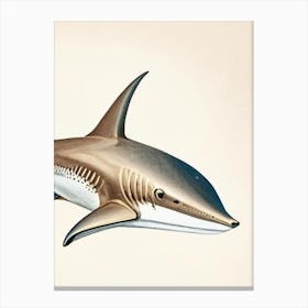 Bronze Whaler Shark Vintage Canvas Print