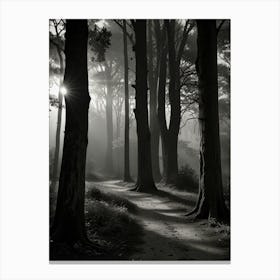 Black And White Forest Canvas Print