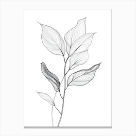 Leaf On A Branch 7 Canvas Print