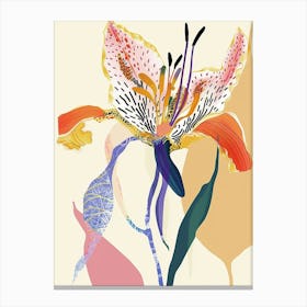 Colourful Flower Illustration Gloriosa Lily 4 Canvas Print