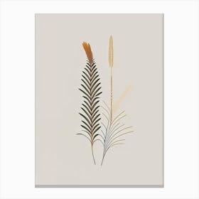Horsetail Spices And Herbs Retro Minimal 2 Canvas Print