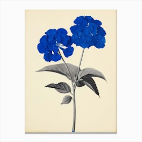 Blue Botanical Lantana 1 Canvas Print