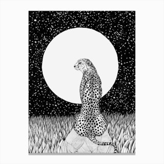 Cheetah Moon Canvas Print