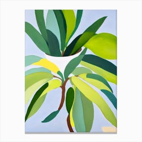 Jade Plant Bold Graphic Canvas Print
