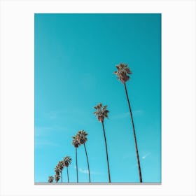 A Row of Skyduster Palm Trees Canvas Print