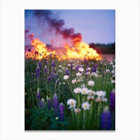 A Multitude Of Flowers Blossoming In The Center Their Petals Transitioning From Yellow To Pink To W (2) Canvas Print