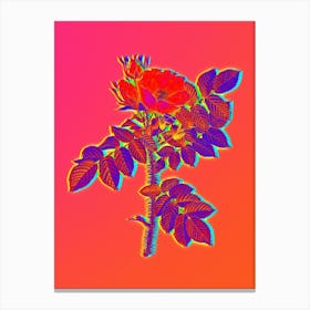 Neon Kamtschatka Rose Botanical in Hot Pink and Electric Blue n.0596 Canvas Print