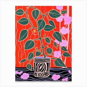 Pink And Red Plant Illustration Hoya 1 Canvas Print