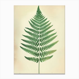 Vintage Illustration Marsh Fern 3 Canvas Print