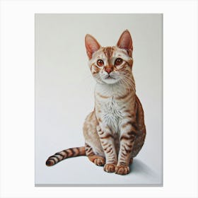 Japanese Bobtail Cat Painting 4 Canvas Print