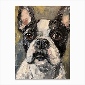 Boston Terrier Acrylic Painting 6 Canvas Print
