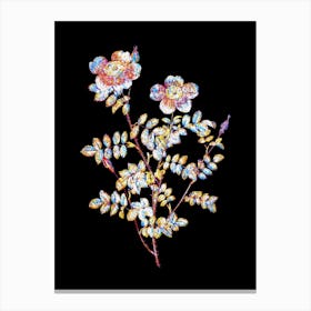 Stained Glass Variegated Burnet Rose Mosaic Botanical Illustration on Black n.0332 Canvas Print