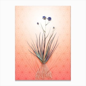 Blue Corn Lily Vintage Botanical in Peach Fuzz Asanoha Star Pattern n.0106 Canvas Print