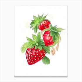Everbearing Strawberries, Plant, Watercolour Canvas Print