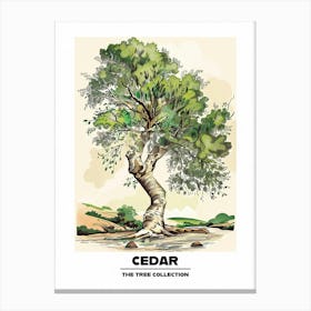 Cedar Tree Storybook Illustration 1 Poster Canvas Print