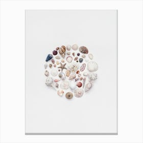 Treasures From The Ocean Canvas Print