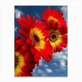 Red Gerberas Canvas Print