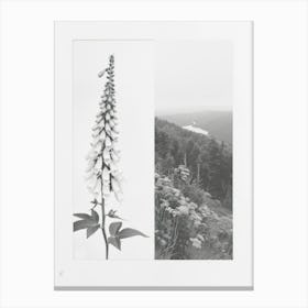 Foxglove Flower Photo Collage 4 Canvas Print