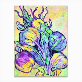 Beetroot Fauvist vegetable Canvas Print