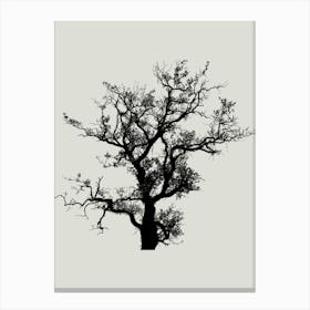 Bare Tree 2 Canvas Print