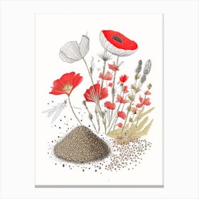 Poppy Seeds Spices And Herbs Pencil Illustration 3 Canvas Print