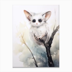 Light Watercolor Painting Of A Feather Tail Glider 1 Canvas Print